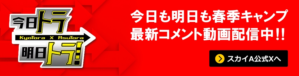 今日も明日も春季キャンプ！最新コメント動画配信中!!