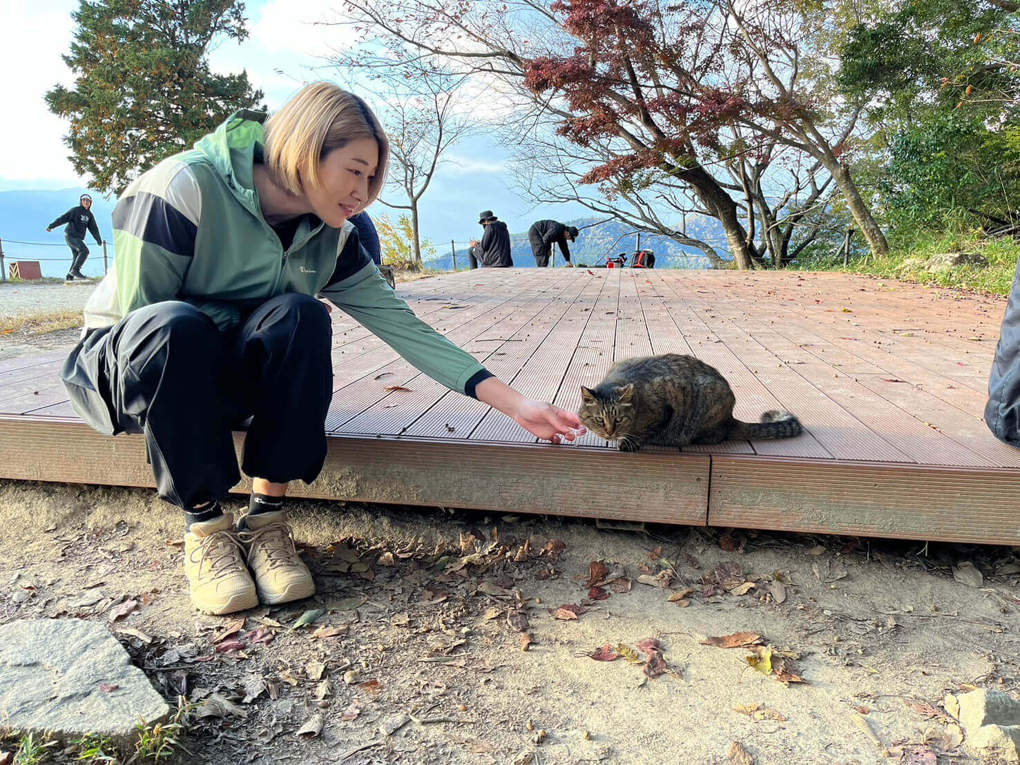 琵琶湖が見渡せる西の丸跡には可愛い野良猫が！