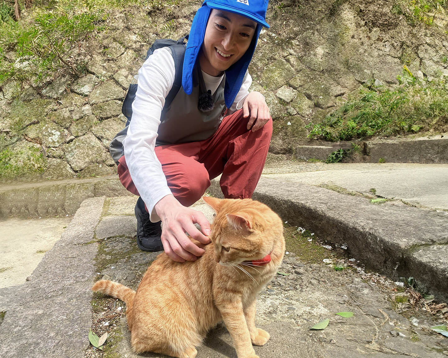 松本亭前あたりから笠置寺へ向かって、道案内をしてくれるという噂の猫。