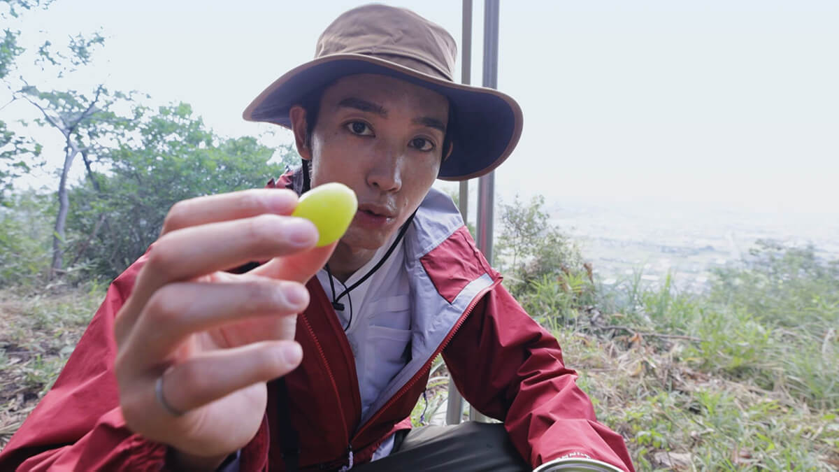 休憩のお供には、この時期旬のシャインマスカット