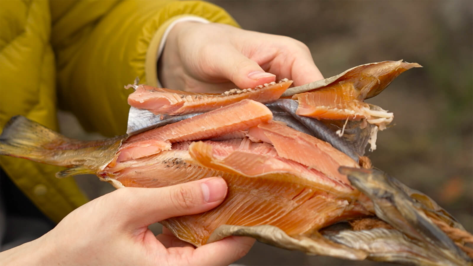 シダンゴパスタ feat.さくら鱒