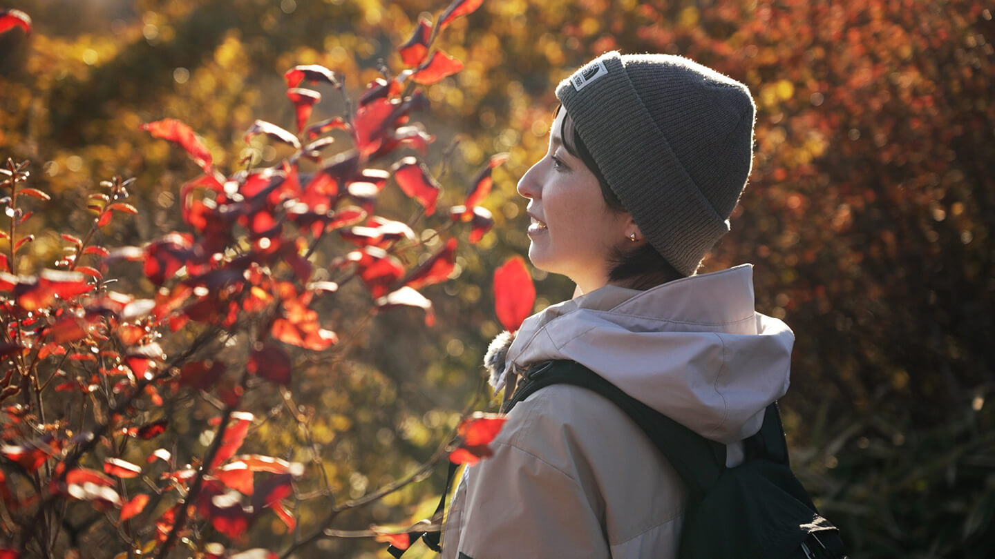 ロケ当日（10月下旬）は紅葉が色づいているか心配していましたが