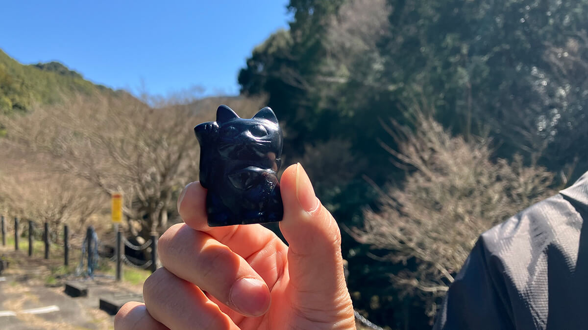 頂きメシを購入した「あんちん」の隣にある売店で